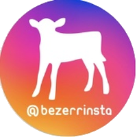 Logo Bezerrinsta