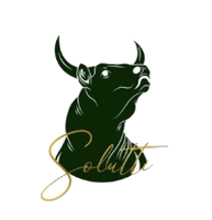 Logo Solutti Consultoria